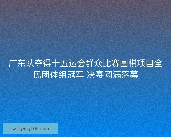 广东队夺得十五运会群众比赛围棋项目全民团体组冠军 决赛圆满落幕